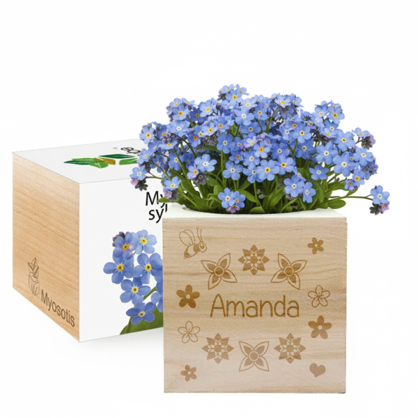 Ecocube personlig fornavn Ecocube personlig fornavn