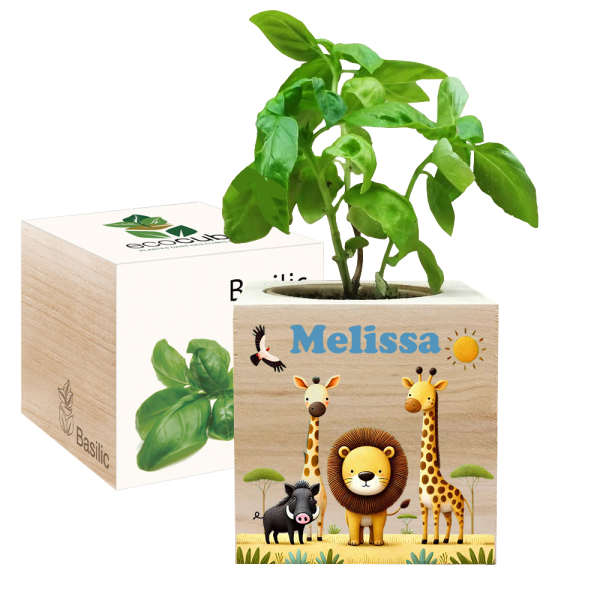 Trykt EcoCube Safari Trykt EcoCube Safari