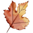 Efter&aring;rsblad