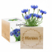 Ecocube personlig fornavn Ecocube personlig fornavn