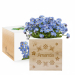 Ecocube personlig fornavn Ecocube personlig fornavn