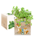 Trykt EcoCube Fortryllet skov Trykt EcoCube Fortryllet skov