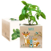 Trykt EcoCube Fortryllet skov Trykt EcoCube Fortryllet skov