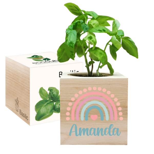 Trykt EcoCube Regnbue