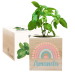 Trykt EcoCube Regnbue