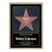 Personligt Walk of Fame-certifikat med ramme Personligt Walk of Fame-certifikat med ramme